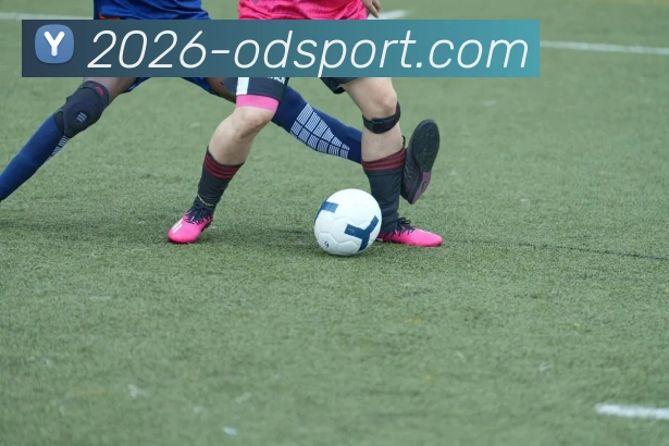 OD体育发展历程