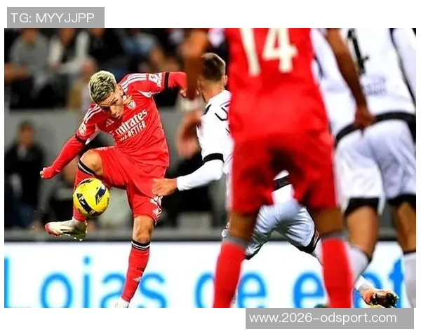 奥莱报：斯卡洛尼寻求新恩佐三名国家队新人成考察重点